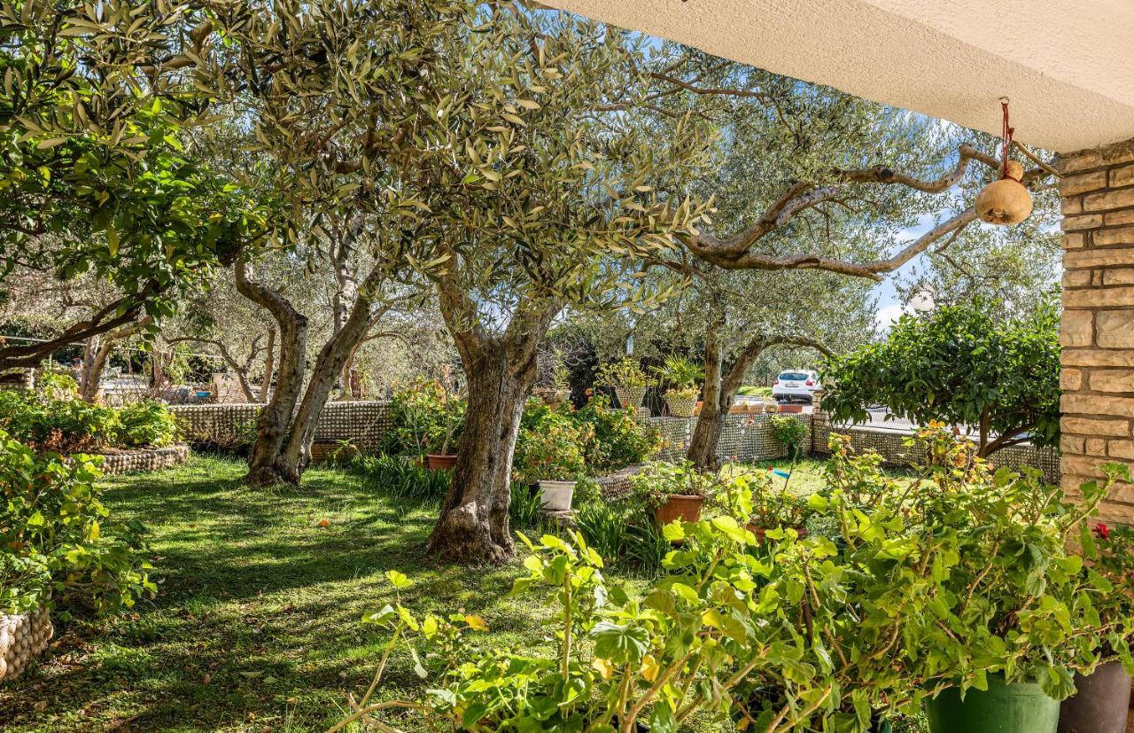 Apartmani Barun Šibenik Dış mekan fotoğraf